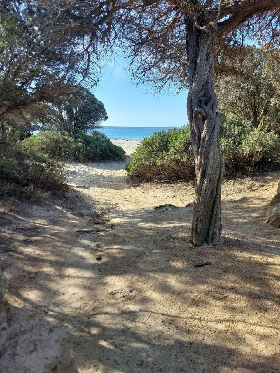 Villa Margherita Chia Esterno foto