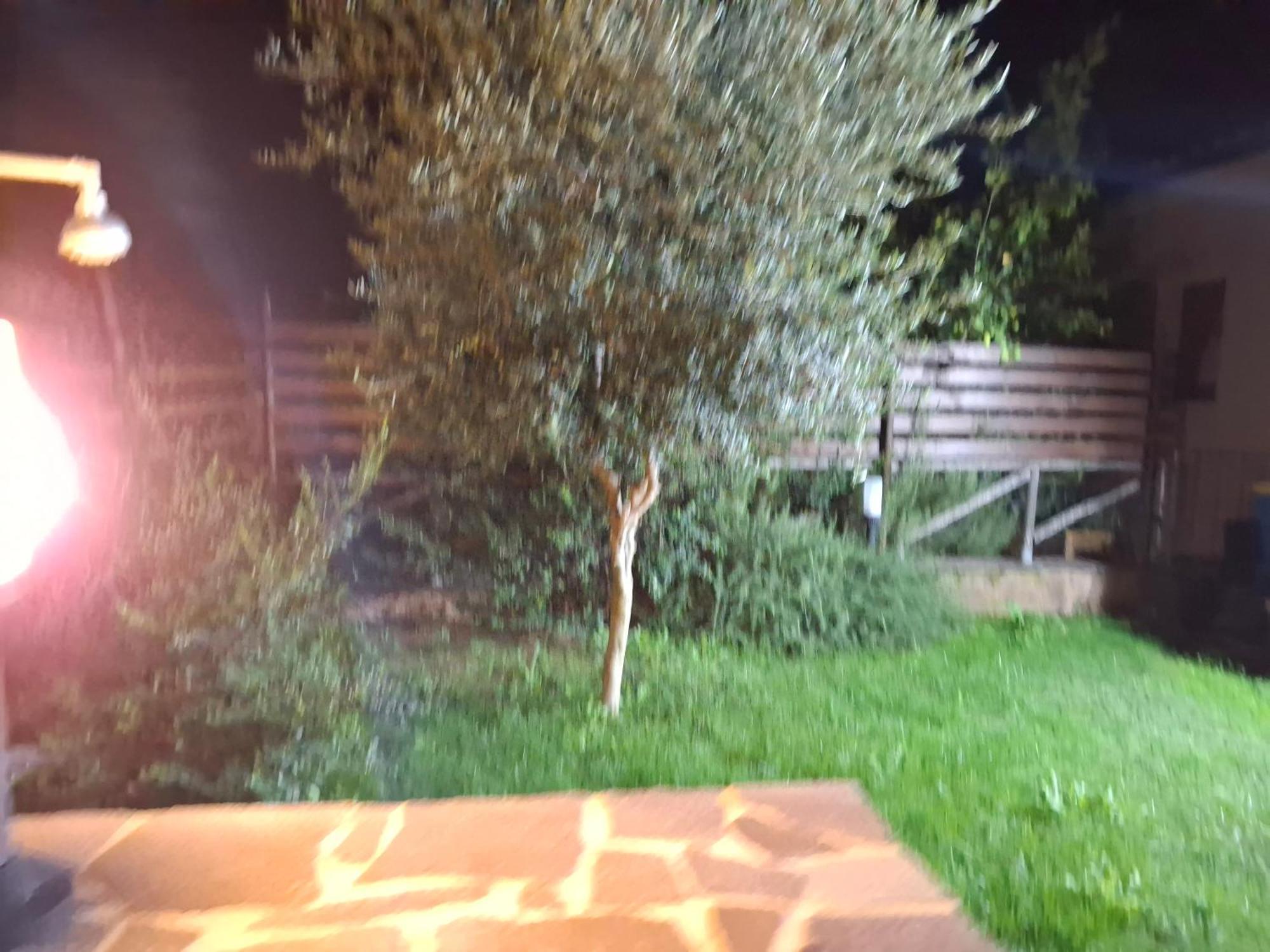 Villa Margherita Chia Esterno foto